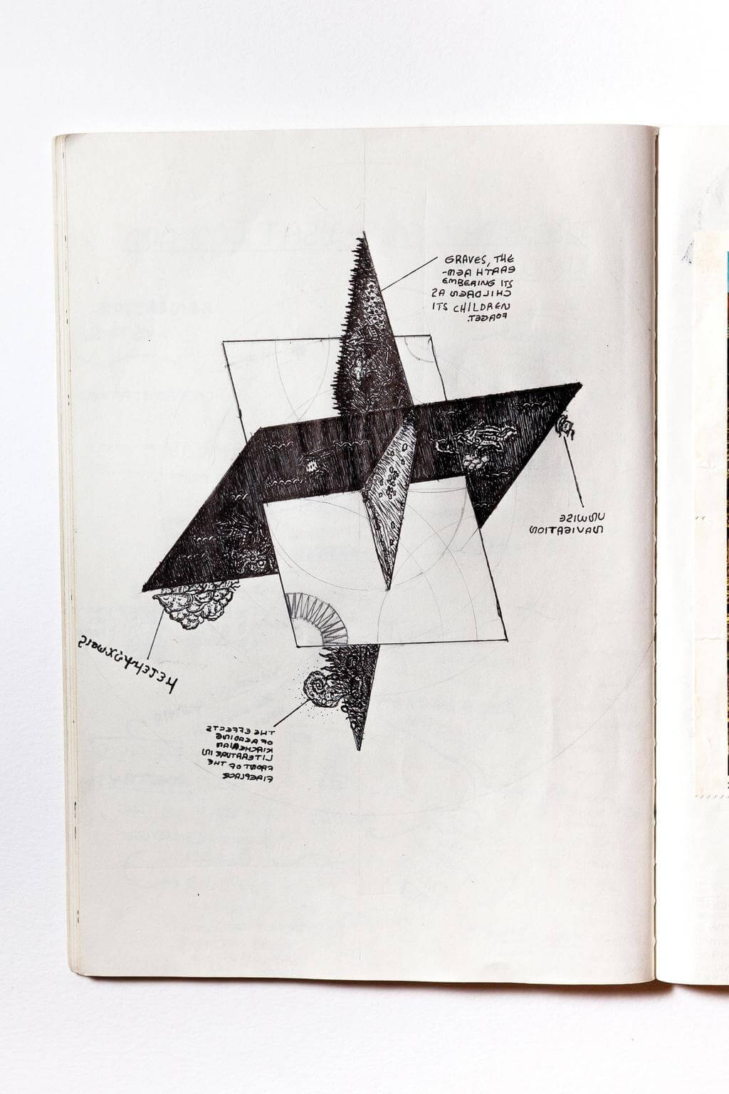 A page from Armaan Maharaj's notebook bears a diagram of several abstract planes intersecting. Some of the planes have a grassy texture while others feature fungal growths. Maharaj has labelled sections of the diagram with backwards handwriting.