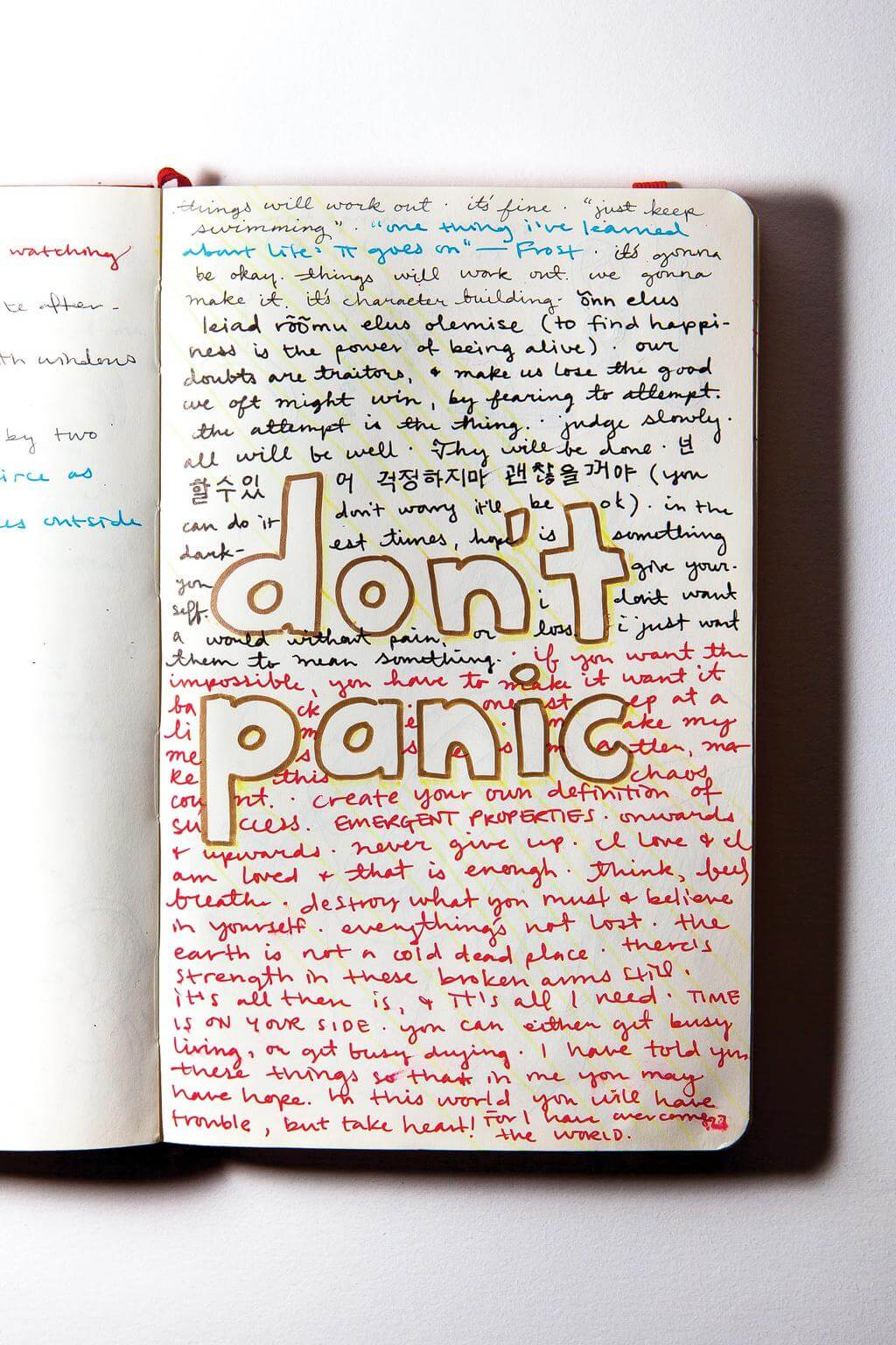 Handwritten inspirational phrases cover a page from Emma Brown's notebook. In the center, the phrase "don't panic" stands out in bold letters.
